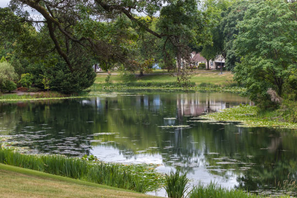 istock Lake Sacajawea Park in overcast day 1330842984