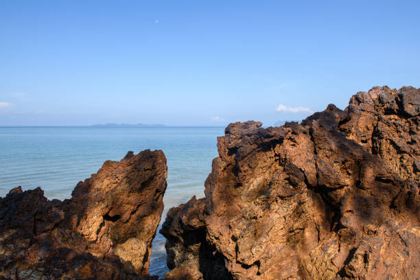 istock Beach on a sunny day with clear blue sky 1330848838
