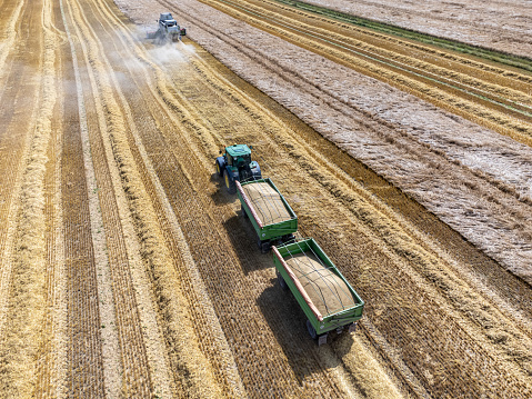 Aerial view tractor with combine harvester harvesting a grain field