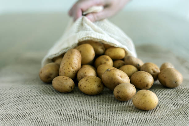 Baby potatoes falling out of the packing bag on sackcloth