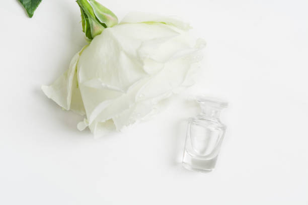 istock Aromatherapy with rose perfume with one white rose over white textured background with copy space. Mockup 1330860780