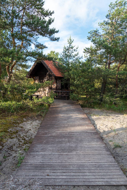 The path to the house in the forest. The concept of relaxation and privacy.