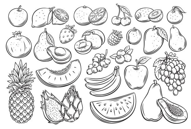 Fruits and berries outline icons set Fruits and berries outline vector icons set. Drawn monochrome raspberry, avocado, grape, peach, whole, half, cherry, mango, slice of watermelon. tangerine, lemon, apricot and ets fruit symbols stock illustrations