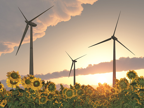 Computer generated 3D illustration with wind turbines in a field of sunflowers at sunset