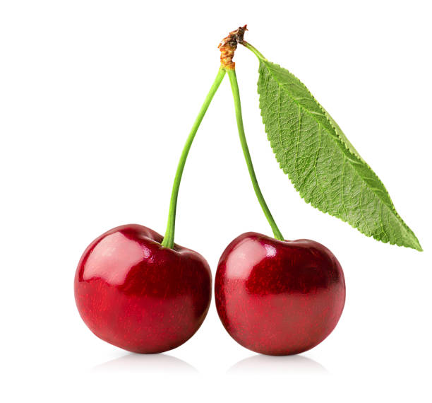 istock one bunch of cherries 1330865877