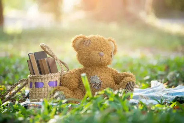 Photo of Cute teddy bear with books.sitting on garden.