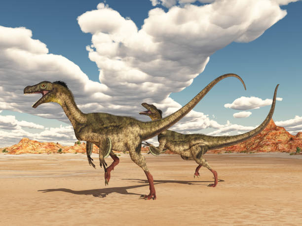 istock Dinosaur Ornitholestes in a desert landscape 1330866751