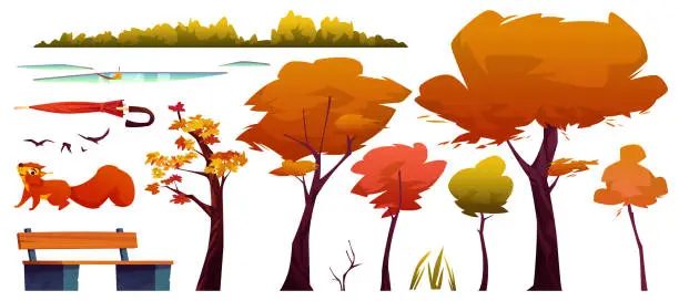 Vector illustration of Autumn landscape elements set isolated trees and bushes, puddles on road, wooden bench and umbrella, orange squirrel and flying birds, foliage leaves and grass, maple birch, fall park forest objects