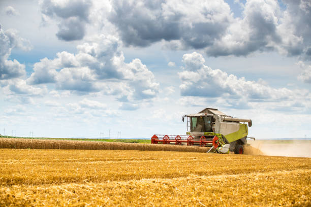 istock Combine harvester in action on wheat field. 1330869091