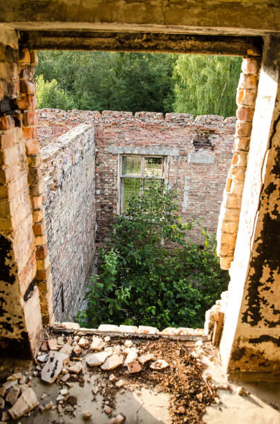 istock Abandoned military object in Ventspils municipality, Latvia 1330873037
