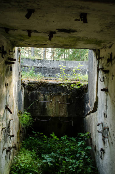istock Abandoned military object in Ventspils municipality, Latvia 1330876670