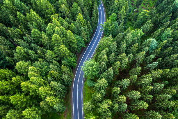 aerial view of the mountain road in a green forest winding mountain road (drone view) karkonosze mountain range photos stock pictures, royalty-free photos & images