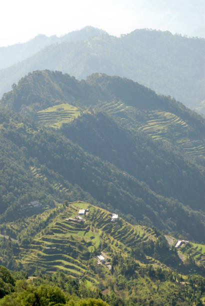 istock Terrace Farming in Himalayan mountain 1330878393