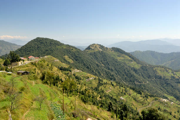 istock Terrace Farming in Himalayan mountain 1330878421