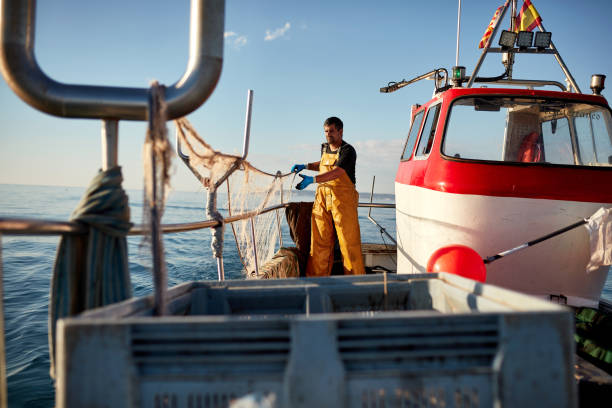 Independent Commercial Fisherman Managing Nets Onboard Boat Front view of Caucasian man in early 30s wearing protective workwear and standing at stern working with trawl nets at sea in early morning. fisherman stock pictures, royalty-free photos & images