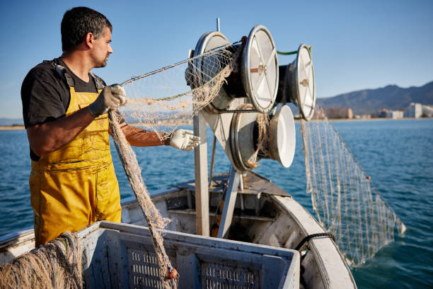 commercial fisherman reeling in net with winch - rede de arrastão imagens e fotografias de stock