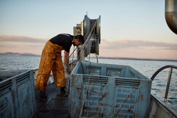 caucasian fisherman working with trawl net in early morning - rede de arrastão imagens e fotografias de stock