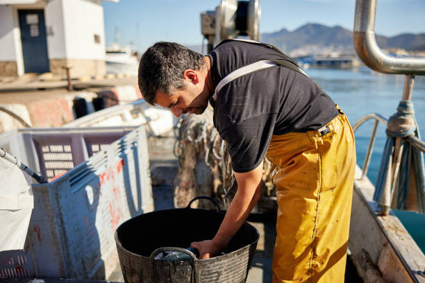 pescatore che raggiunge il secchio di pesce fresco a bordo della barca - fishermen harbor foto e immagini stock