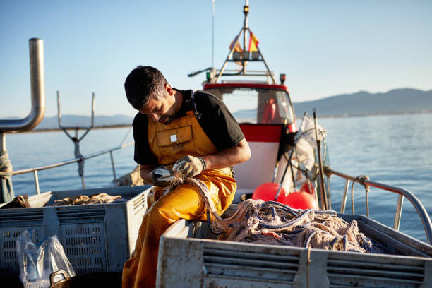 istock Caucasian Fisherman Removing Catch from Net Onboard Boat 1330878531