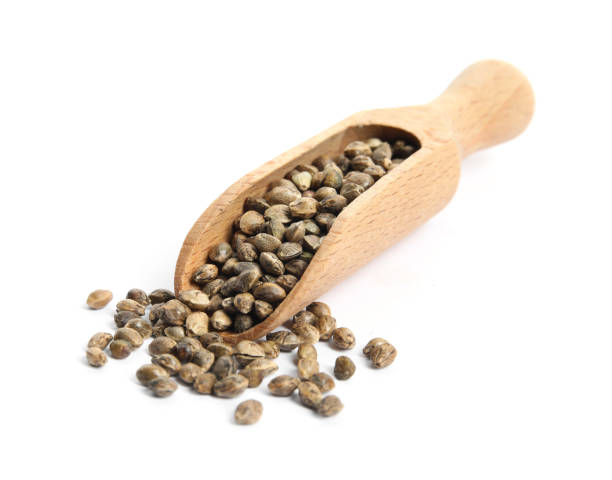 istock Wooden scoop with hemp seeds on white background 1330881737