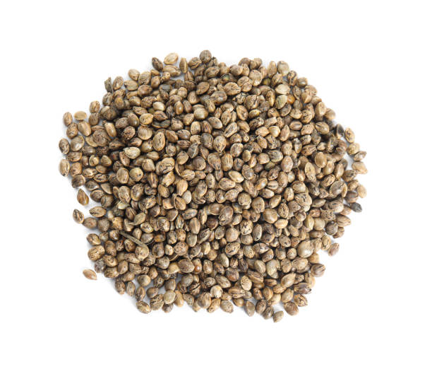 istock Pile of hemp seeds on white background, top view 1330882942