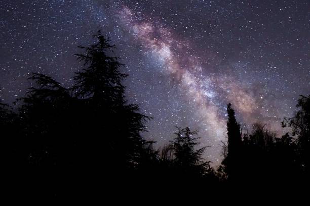 istock Milky Way in a protected nature park 1330887763