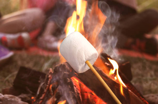 istock Delicious puffy marshmallow roasting over bonfire outdoors 1330889281