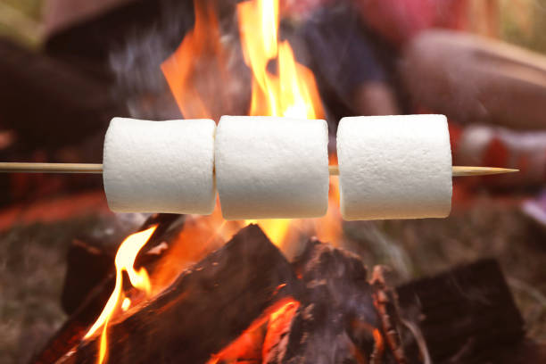 istock Delicious puffy marshmallows roasting over bonfire outdoors 1330889283