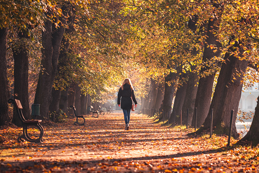Woman wearing black coat and walks on footpath in public park at fall season. Autumn leaf color
