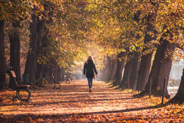 mulher vestindo casaco preto e caminha em trilha em parque público na época de outono. cor da folha de outono - autumn women leaf scarf - fotografias e filmes do acervo