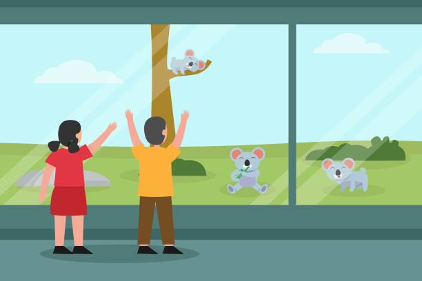 Two cute children looking at koala in the zoo Zoo vector concept: Two cute children looking at koala in the zoo while standing near the fence sleeping koala bear stock illustrations