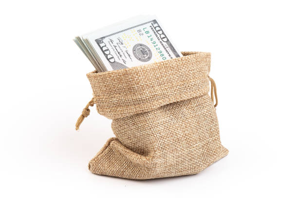 istock Money in the bag isolated on a white background 1330893532