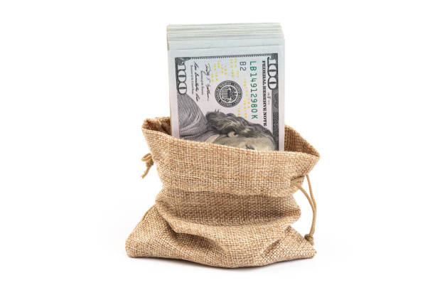 istock Money in the bag isolated on a white background 1330893645