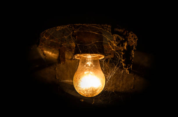 istock An old incandescent lamp in the web. 1330894414
