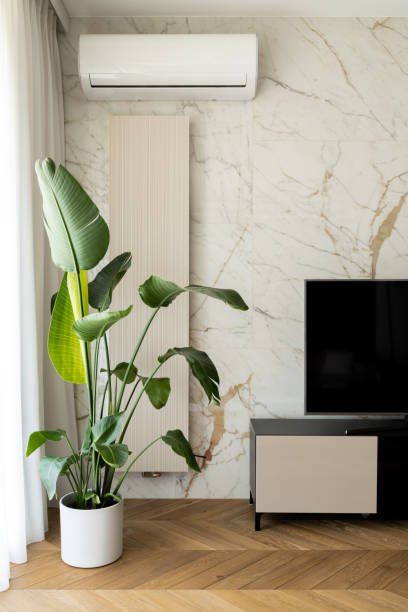 Decorative houseplant next to tv stock photo
