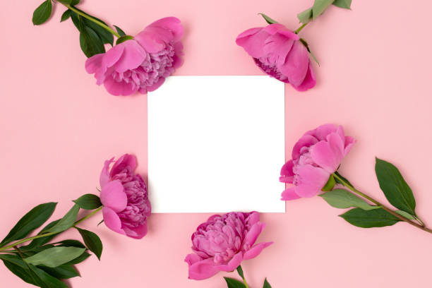 istock Square empty paper card mockup with frame made of peony flowers. 1330897387