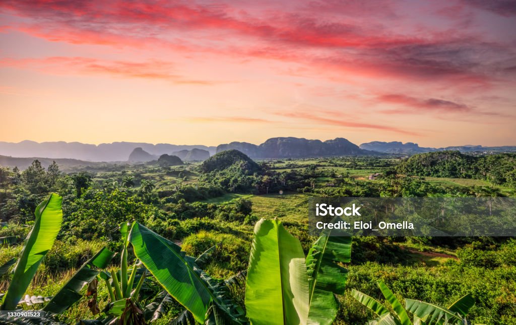 Sunset in Viñales Valley, Cuba aerial view of the mogotes of viñalles valley at sunset in Cuba Cuba Stock Photo