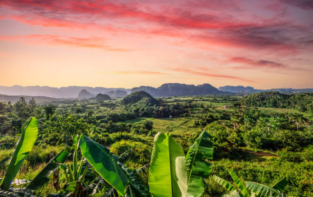 закат в долине виньялес, куба - cuba rural scene non urban scene day стоковые фото и изображения