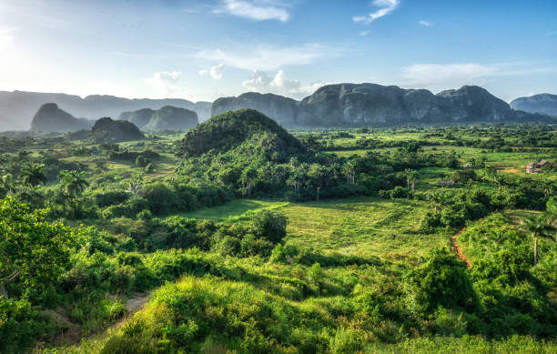 キューバ ビニャーレス渓谷の夕日 - unesco world heritage site cloud day sunlight ストックフォトと画像