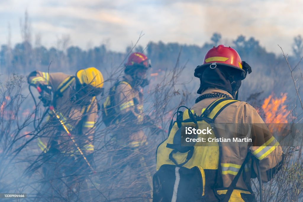 Firefighters put out a fire in the forest Firefighter Stock Photo