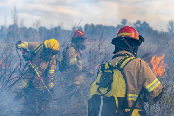 bombeiros apagaram incêndio na floresta - bombeiro - fotografias e filmes do acervo