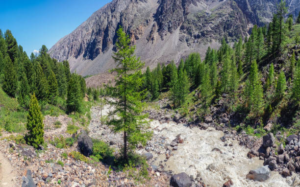 istock Mountain river flow through forest. Beautiful alpine landscape with azure water in fast river. Power majestic nature of highlands. 1330905164