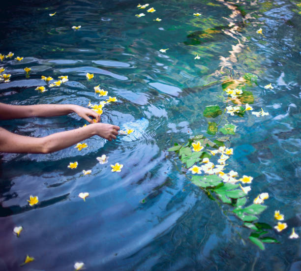 istock Lilies in a pond or pool, blue water and hands. 1330915206