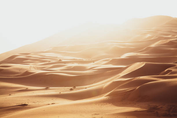 istock Rub al-Khali Desert Empty Quarter Sand Dunes 1330915413