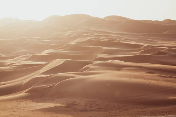 istock Rub al-Khali Desert, United Arab Emirates 1330915467