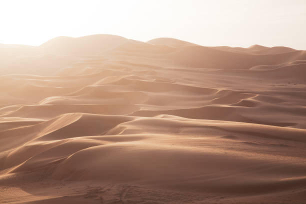 istock Majestic Rub' al-Khali Desert Dune 1330915485
