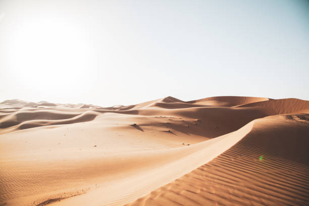 istock Golden Sand dunes Rub al-Khali desert 1330915734