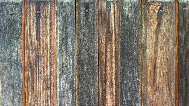 old gray brown wooden background made of natural vertical boards with nails in grunge style. top view. raw planed texture of coniferous pine. surface of table to shoot flat lay. copy space. - veneer plank pine floor imagens e fotografias de stock