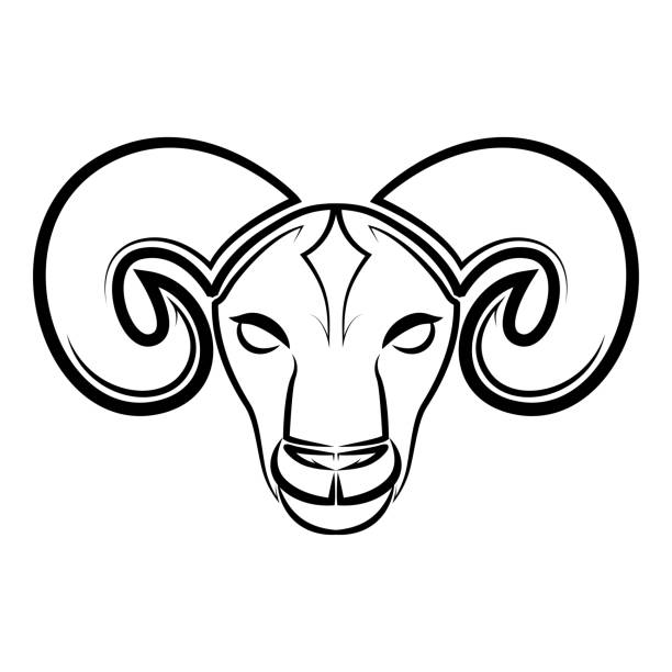 羊の頭の黒と白の線の芸術。シンボル、マスコット、アイコン、アバター、タトゥー、tシャツのデザイン、ロゴ、または任意のデザインに適しています。 - ram bighorn sheep animal head animal themes点のイラスト素材／クリップアート素材／マンガ素材／アイコン素材