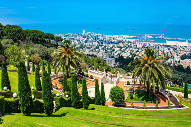 istock The colorful gardens 1330929776